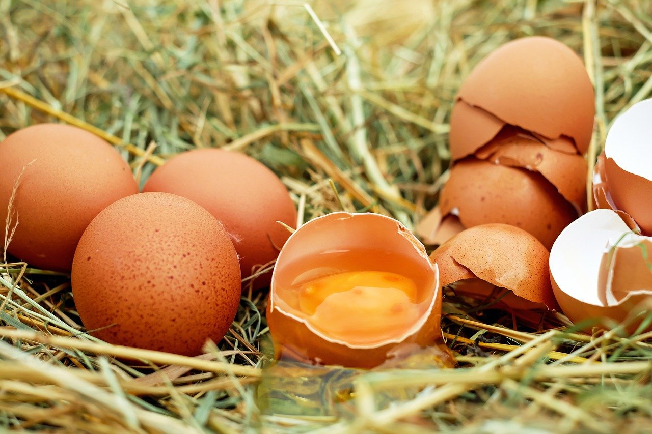 Nipošto ne bacajte ljusku od jaja, prijeki je lijek za štitnu žlijezdu i gastritis!