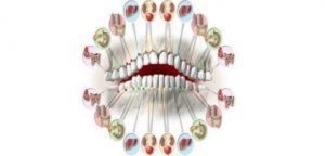 Jeste li znali da svaki zub najavljuje problem u određenom organu?